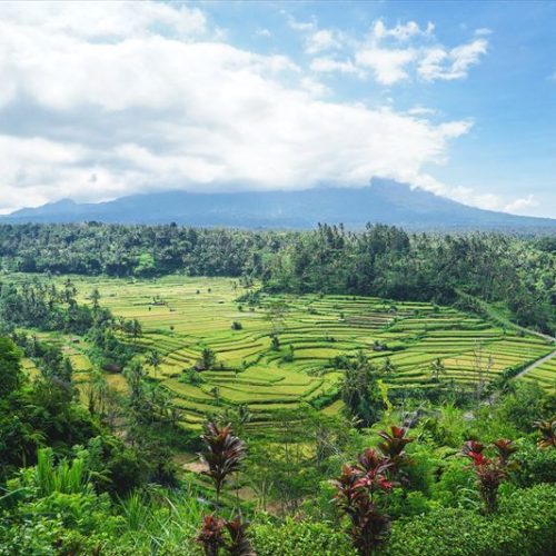 majestic-rice-terraces-of-bali-indonesia-LAANKEB_R